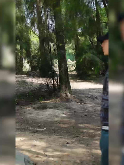 Men’s Paisley Bomber Jacket – Vintage Stand Collar Casual Outerwear